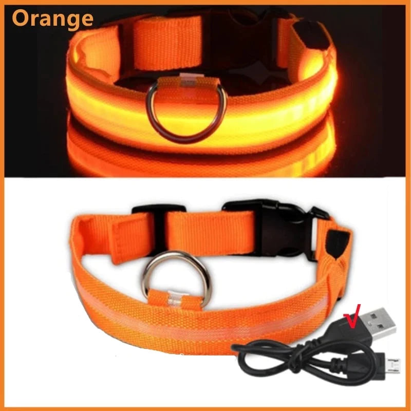 LED Hundehalsband