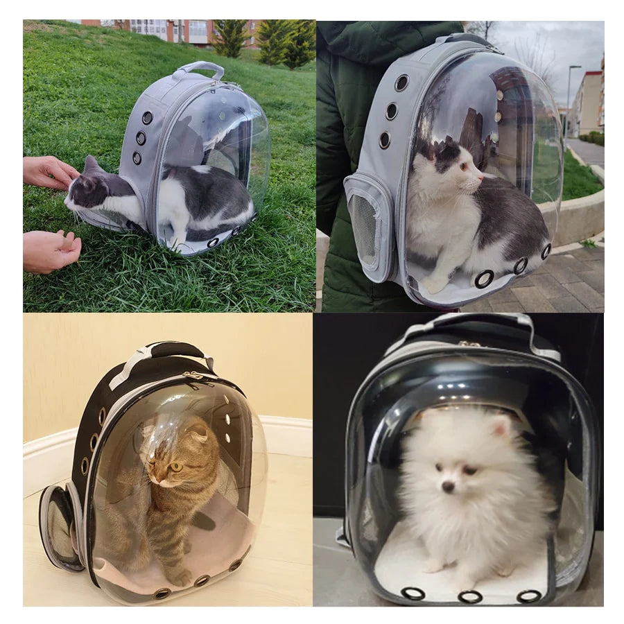 Catly Transportbag