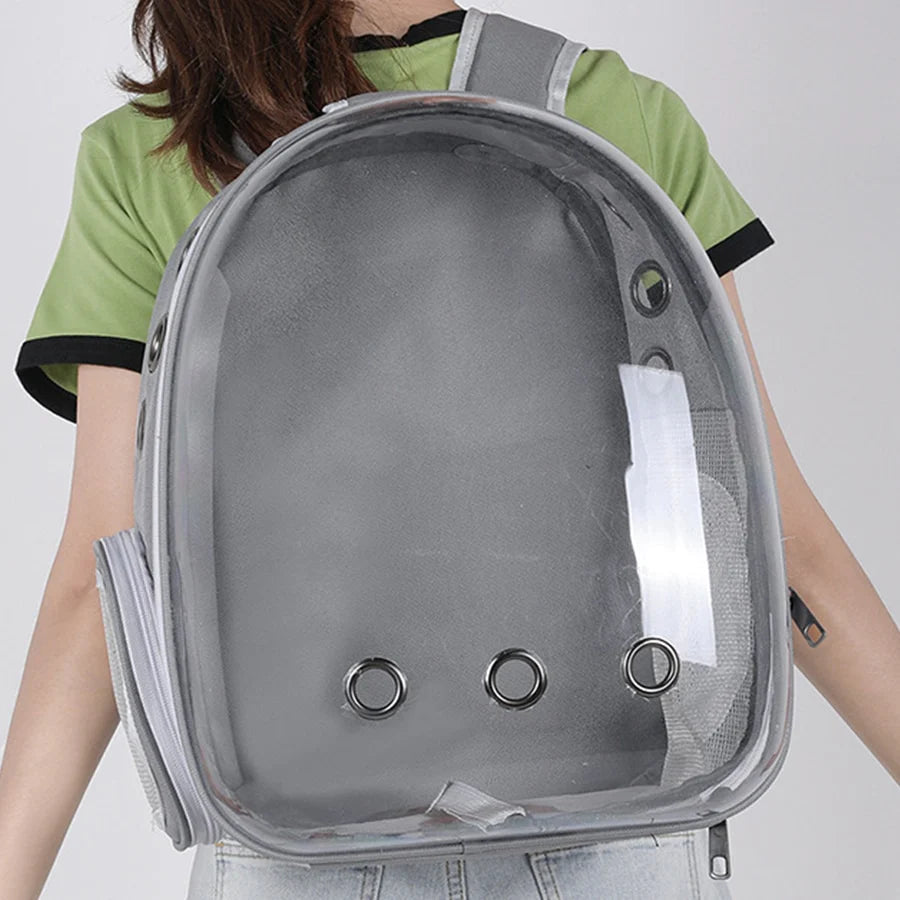 Catly Transportbag